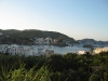2009-07-21_18-51-35 2009-07-21_18-51-35