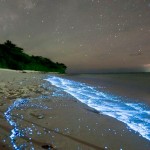Nelle notti d'estate quando il mare 'fuchéa'