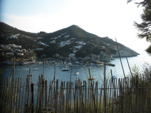 Capo Bosco