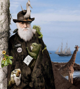 Darwin