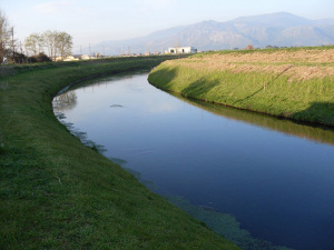 Un canale della bonifica