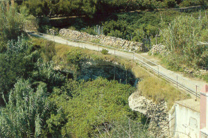 Fig.-34.-Giancos
