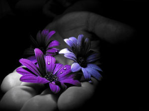 prece-in-blu-violet