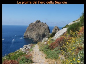 1. Frontespizio. Le piante del Faro della Guardia