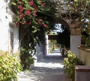Procida. Giardini di Elsa
