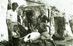 Ponza.-Maiale-copia