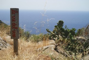 le vie del vino di Ponza