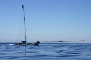 Pesca al pesce spada