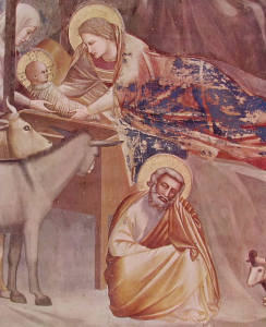 Giotto - La Natività. Particolare
