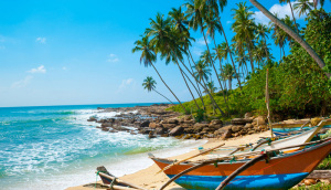 Sri Lanka. Imbarcazioni tipiche su una spiaggia