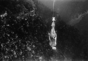 1. Fosco Maraini. L'incantodelleDonnedelMare. A fondo