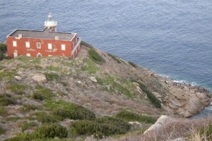 faro Punta del Fenaio e di capel Rosso al Giglio