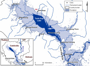 7.Map