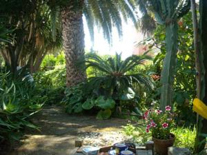 Giardino procidano