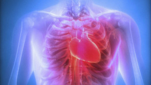 L'operazione al cuore