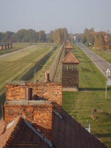 1. Birkenau landscape