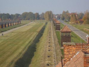 2. Birkenau