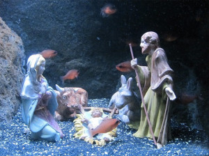Presepe sottomarino Cattolica
