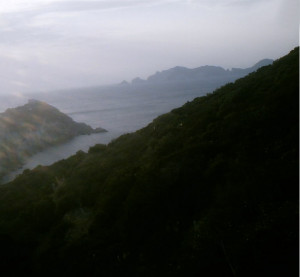 Web cam su Palmarola