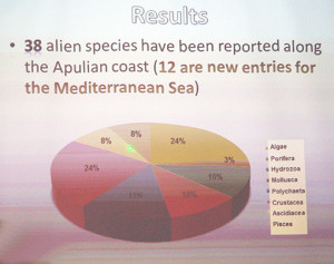 le 38 specie aliene sulle coste pugliesi