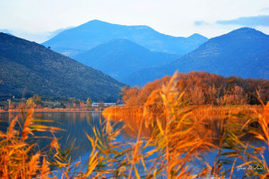 Orange. Lake