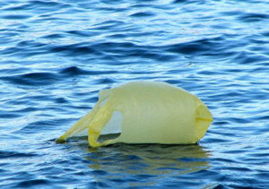 Plastic-bag-on-water