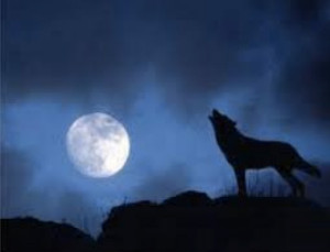 La luna dei lupi