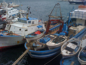 Barche da pesca a Ponza