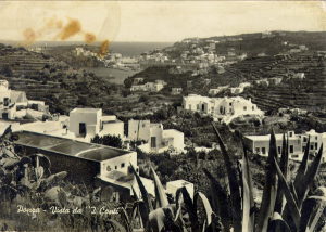 Panorama-dei-Conti-con-lo-sfondo-del-porto.-in-primo-piano-il-tetto-della-casa-di-mia-nonna