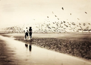 Amore. Mare.2