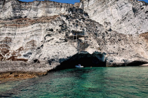 Punta Vardella. Il nido del gabbiano