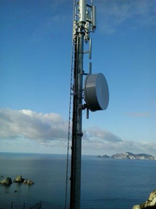 Antenna Lucia Rosa