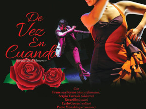 De vez en cuando - spettacolo di flamenco