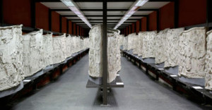 Esposiz. Museo Civiltà Romana all'EUR