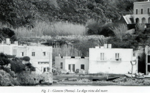 Fig.1