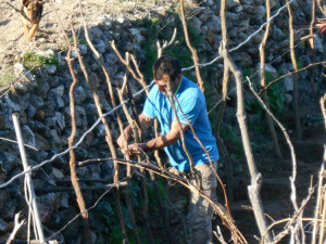Al lavoro