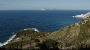 Punta Fieno e Capobianco. Sfondo Palmarola