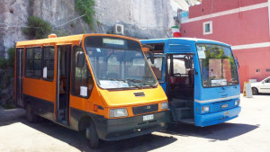 Servizio Autobus