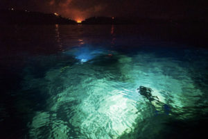 Luce subacquea in prossimità della costa. Foto da radioluna.it