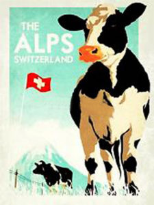 Switzerland's cow