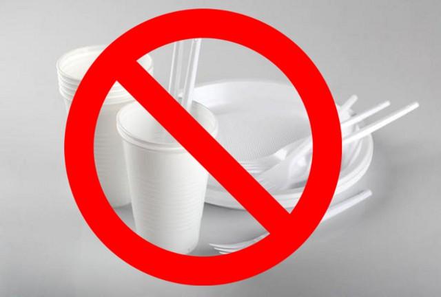 Non usare piatti di plastica!