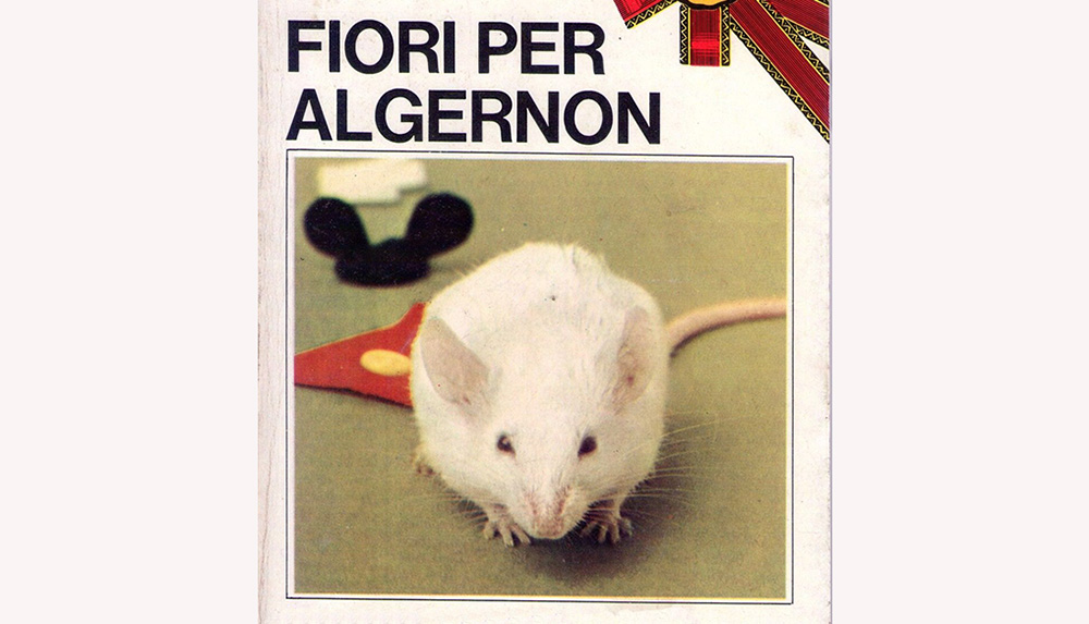 ‘Fiori per Algernon’, il libro evergreen che abbiamo amato - Ponza Racconta